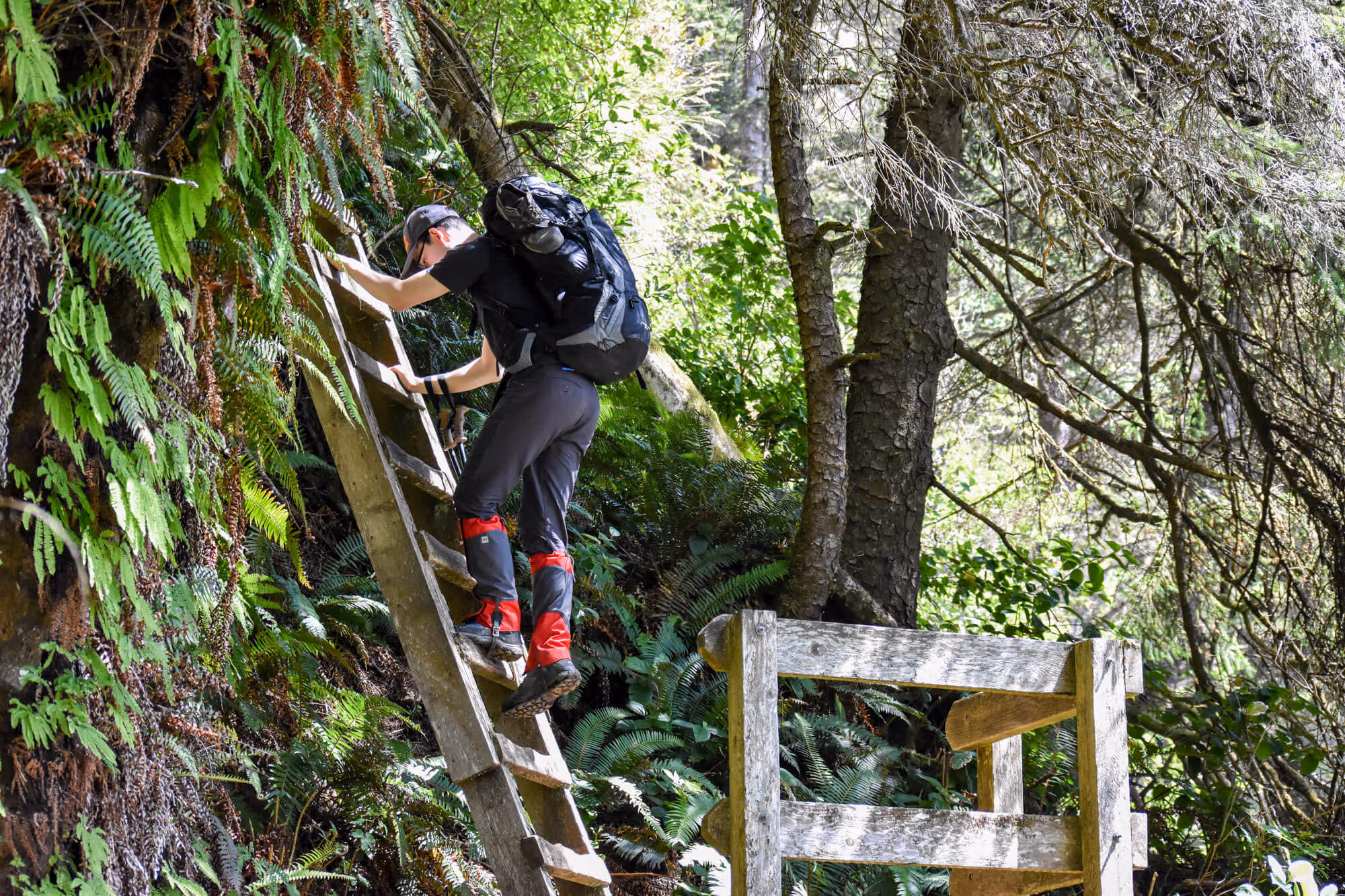 Chris climbing down ladders on the west coast trail