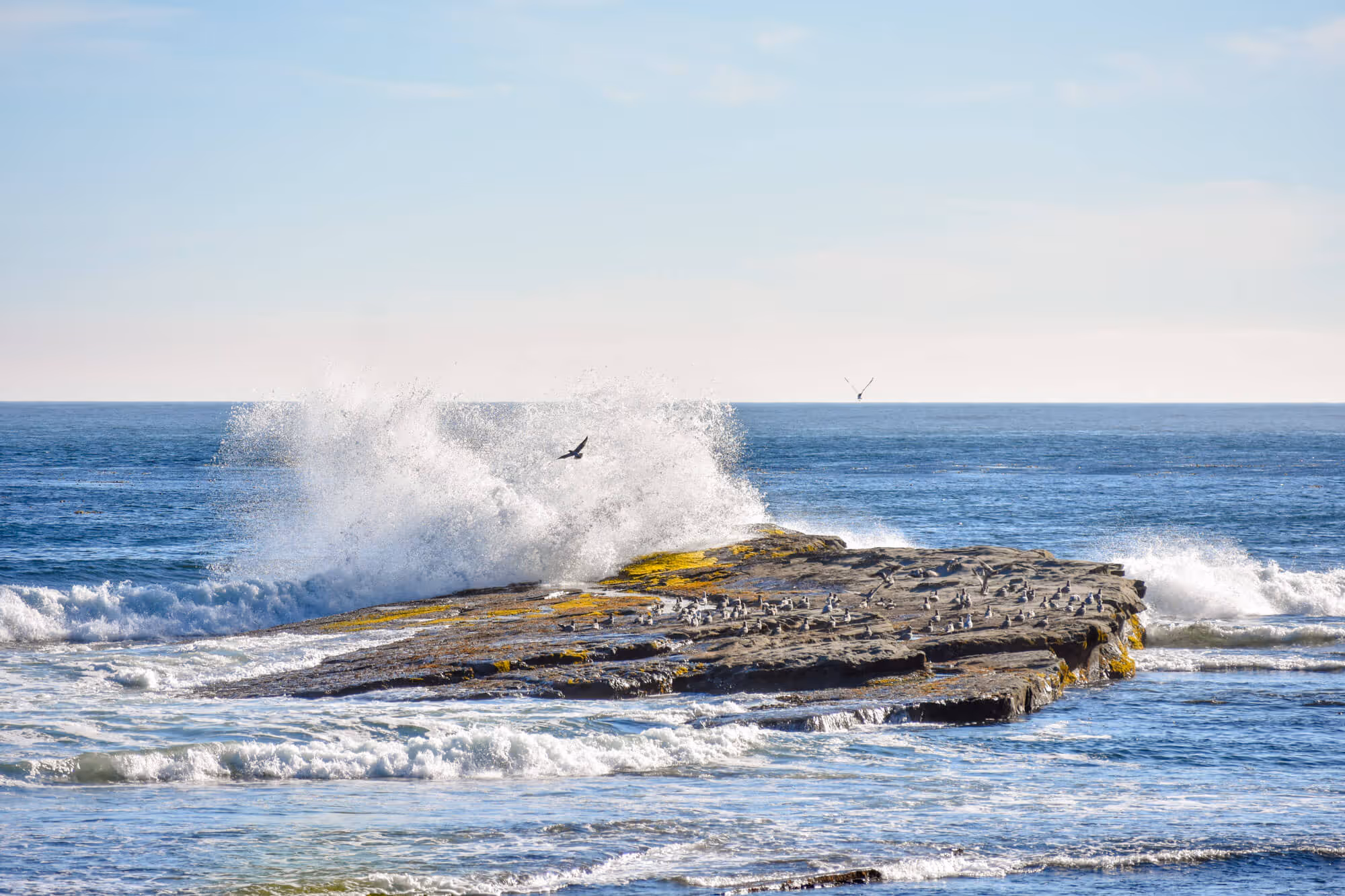 wave splashes on big perched rock on the beach