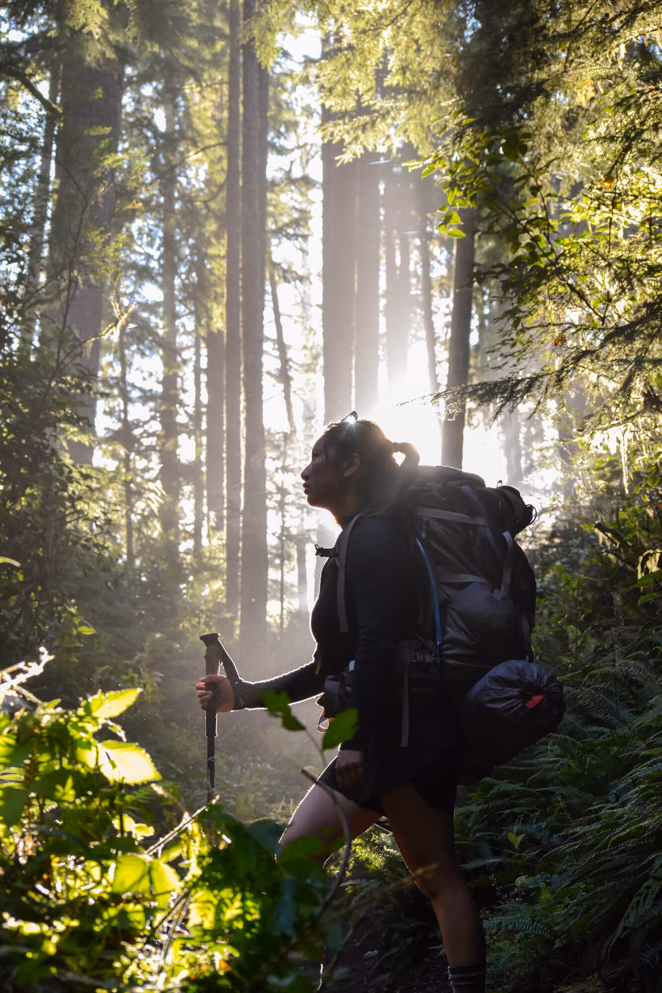 silhouette of hiker with camping gear on west coast trail
