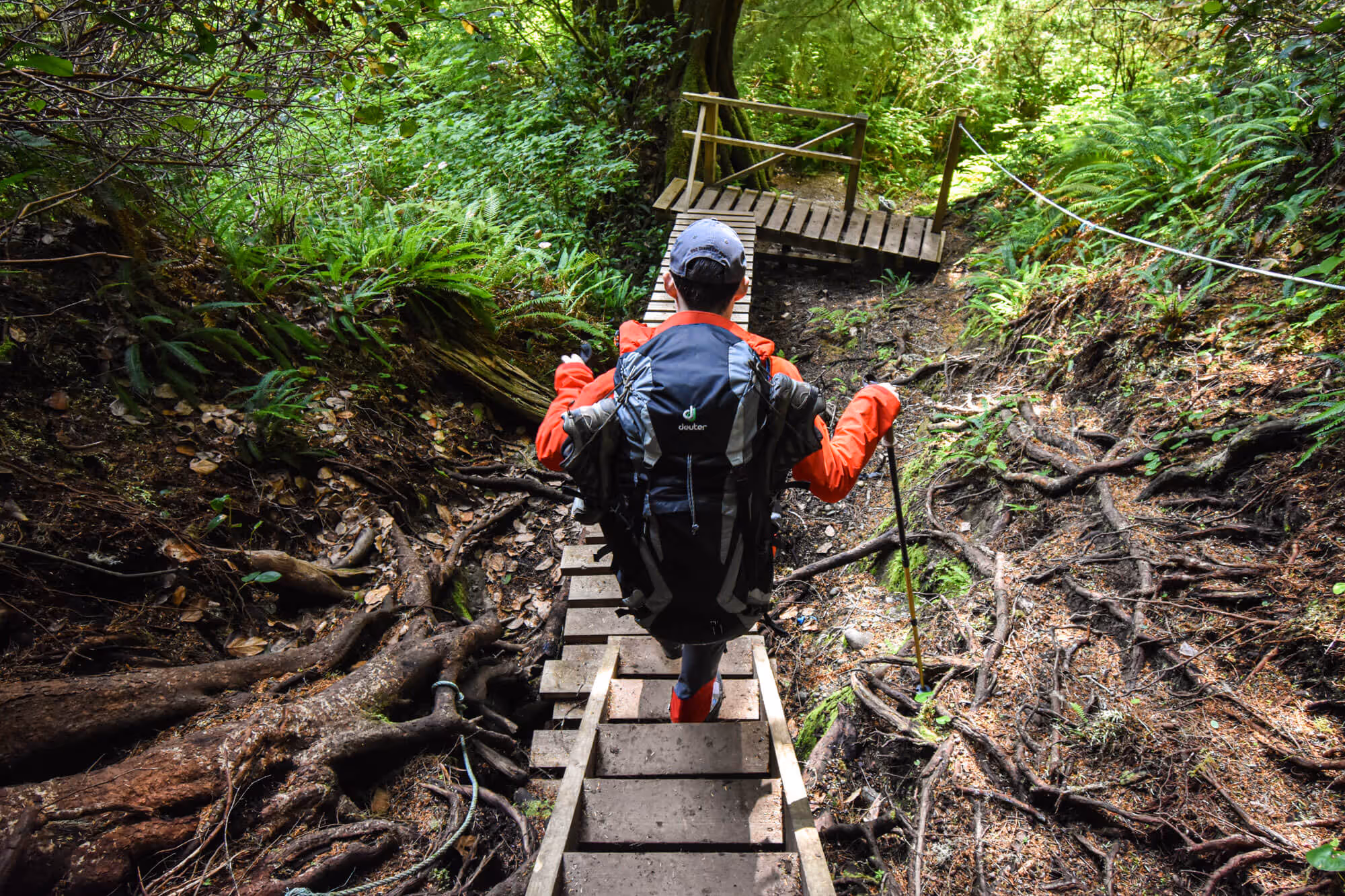 Chris descending wooden stairs on the west coast trail