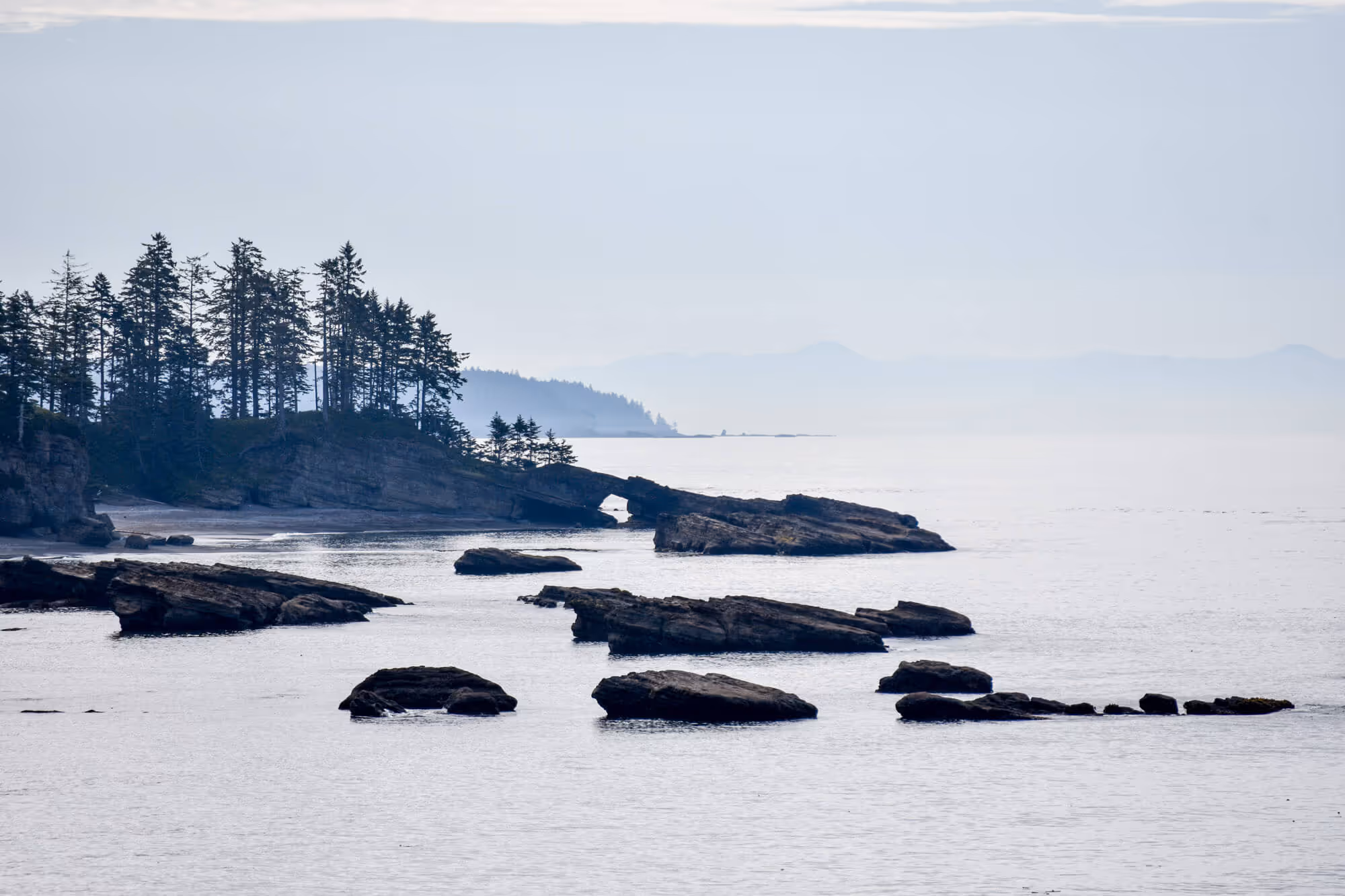 looking south at rock arches of tsusiat point 