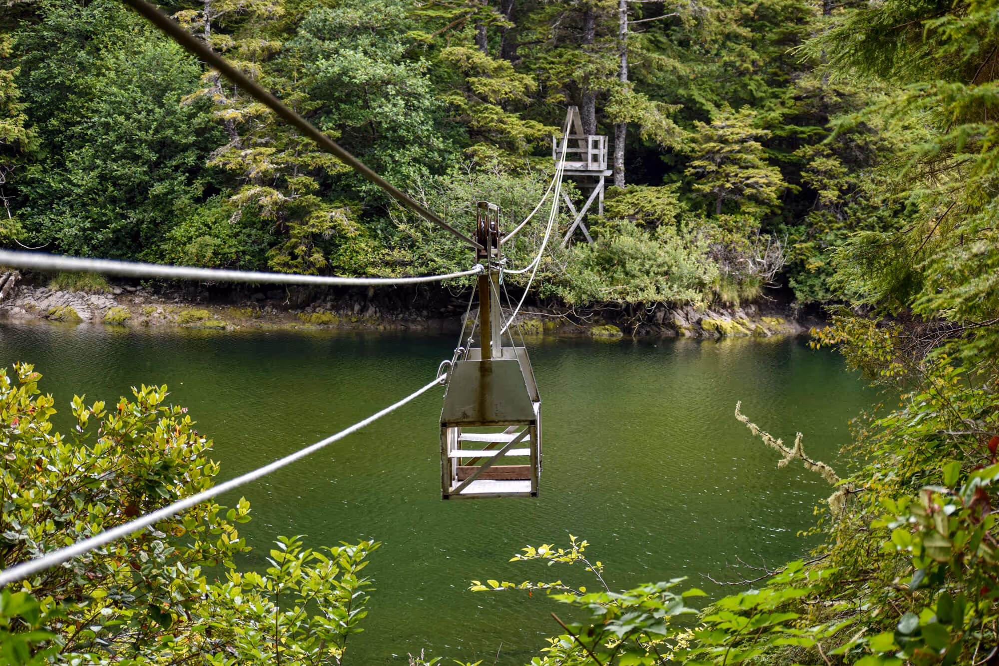 cable car in green landscape on the west coast trail