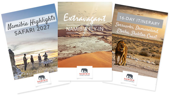 Namibia Tours & Safaris Brochures and Itineraries