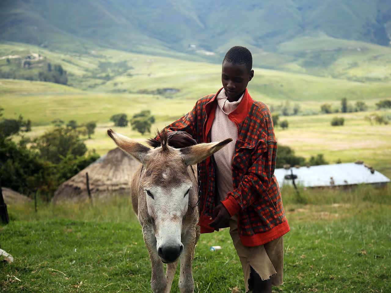 Lesotho inline image 5e43c68e53766