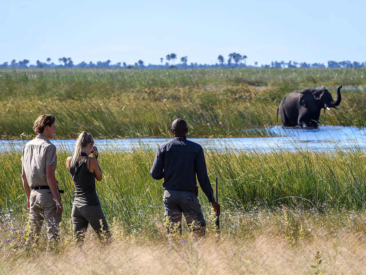 Linyanti inline image 5e562f5e008b4