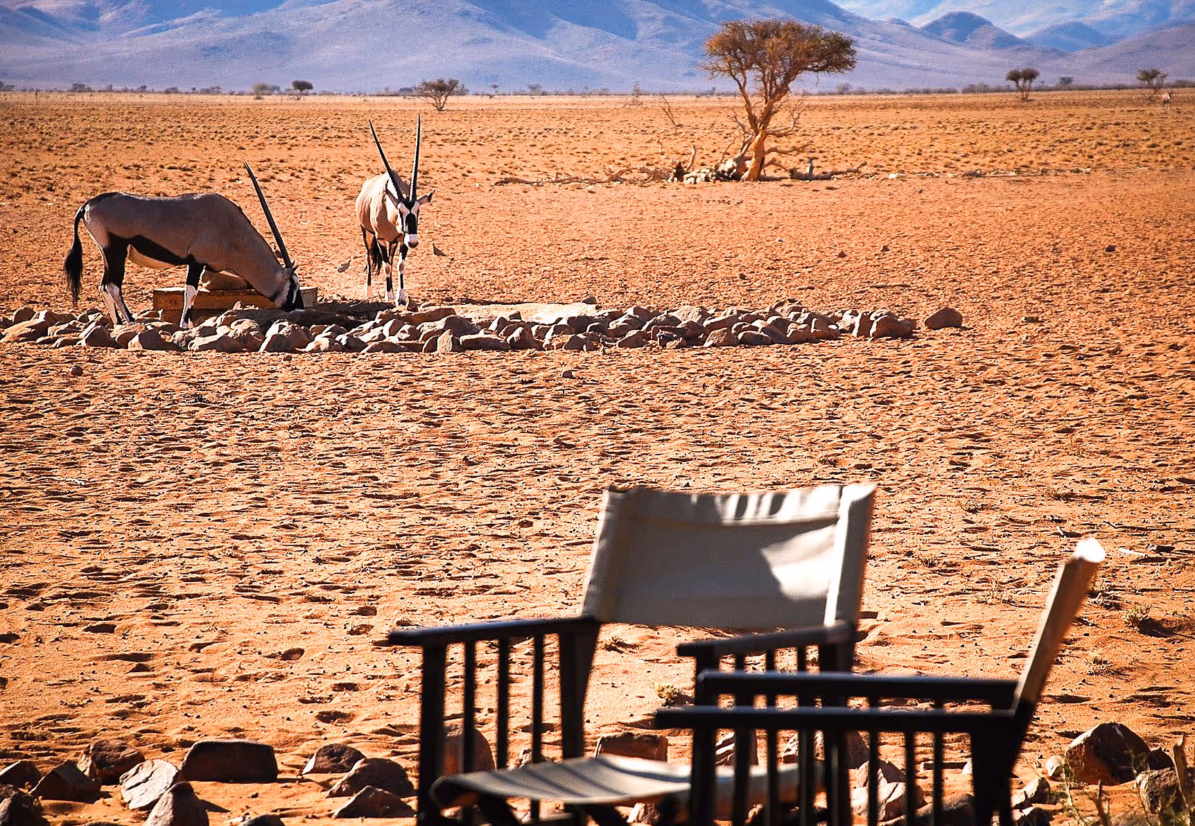 NamibRand Nature Reserve inline image 5cb5a80dc0cd1