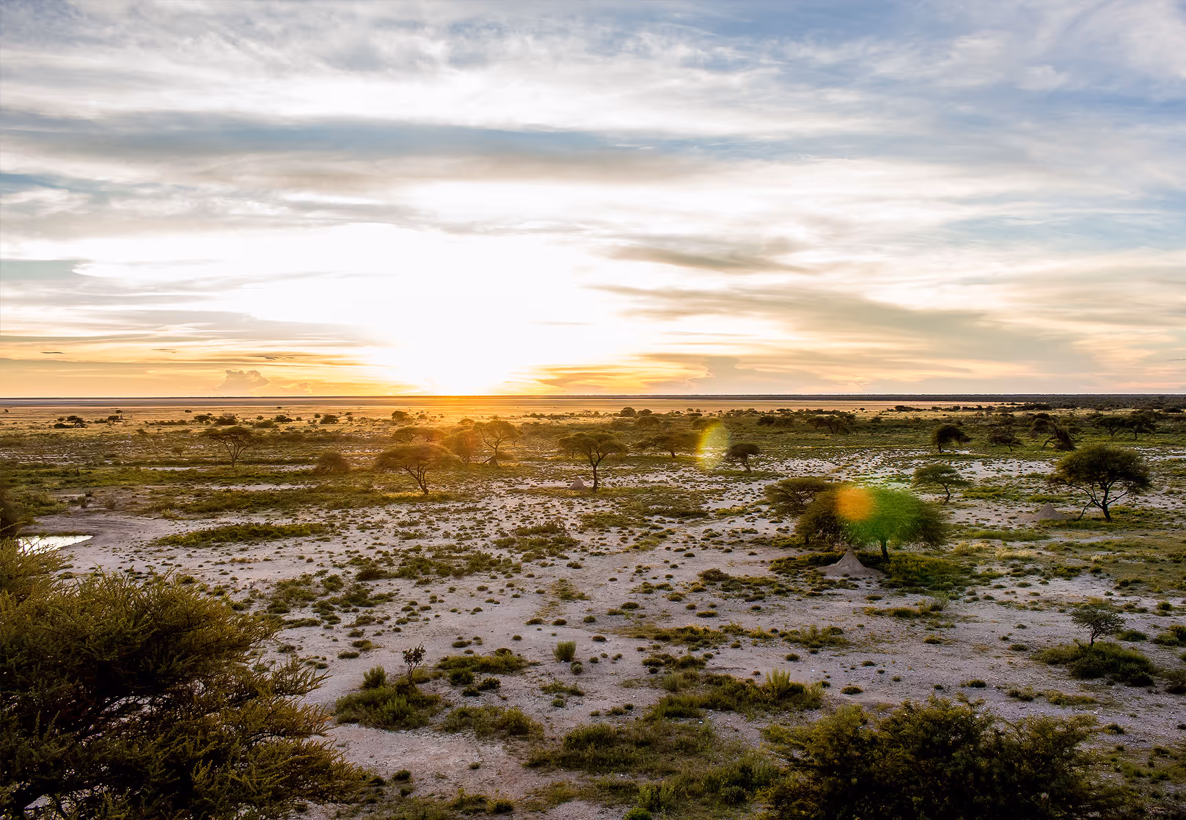 Etosha National Park inline image 5cb5987d747fa