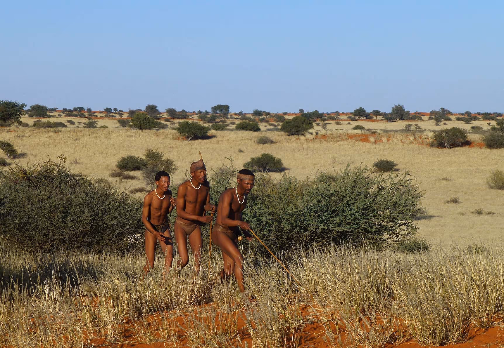 Kalahari inline image 5cb5b68d87103