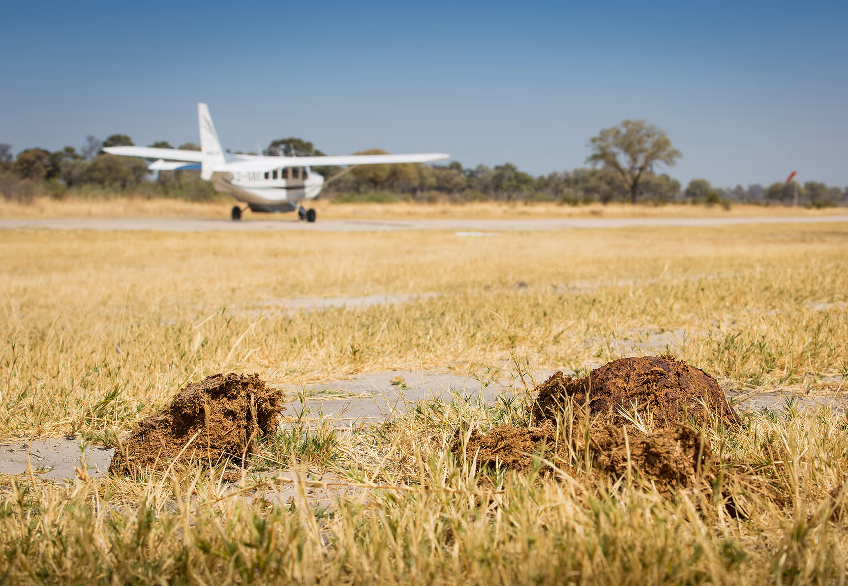 Is it possible to self-drive from Namibia to Victoria Falls? inline image 5bf3bfc170857