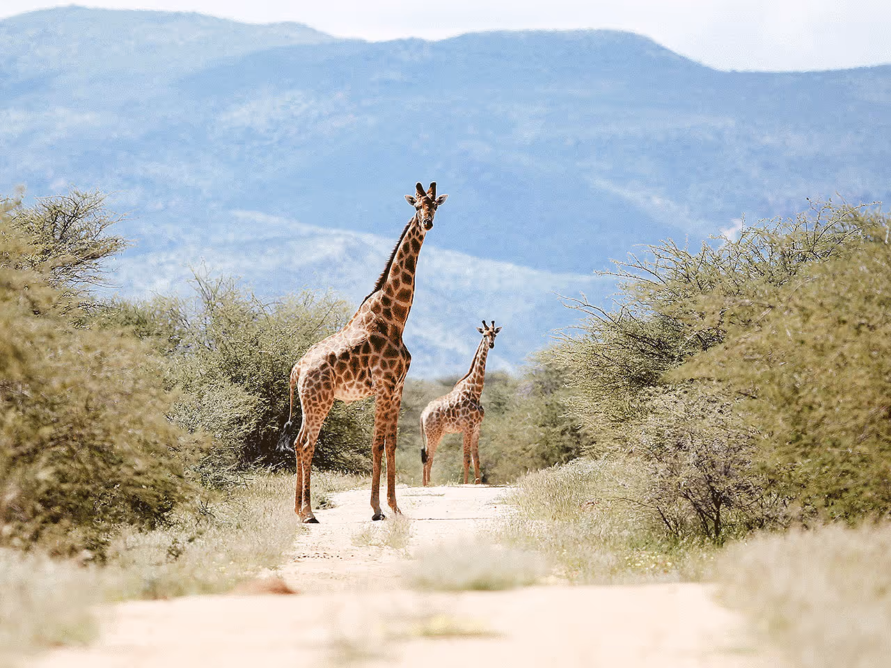 Central Namibia inline image 5e425e61af4e9