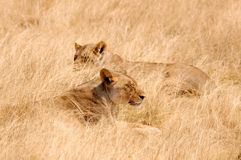 When is the Best Time to Visit to Namibia? inline image 5bfbee1c79c13