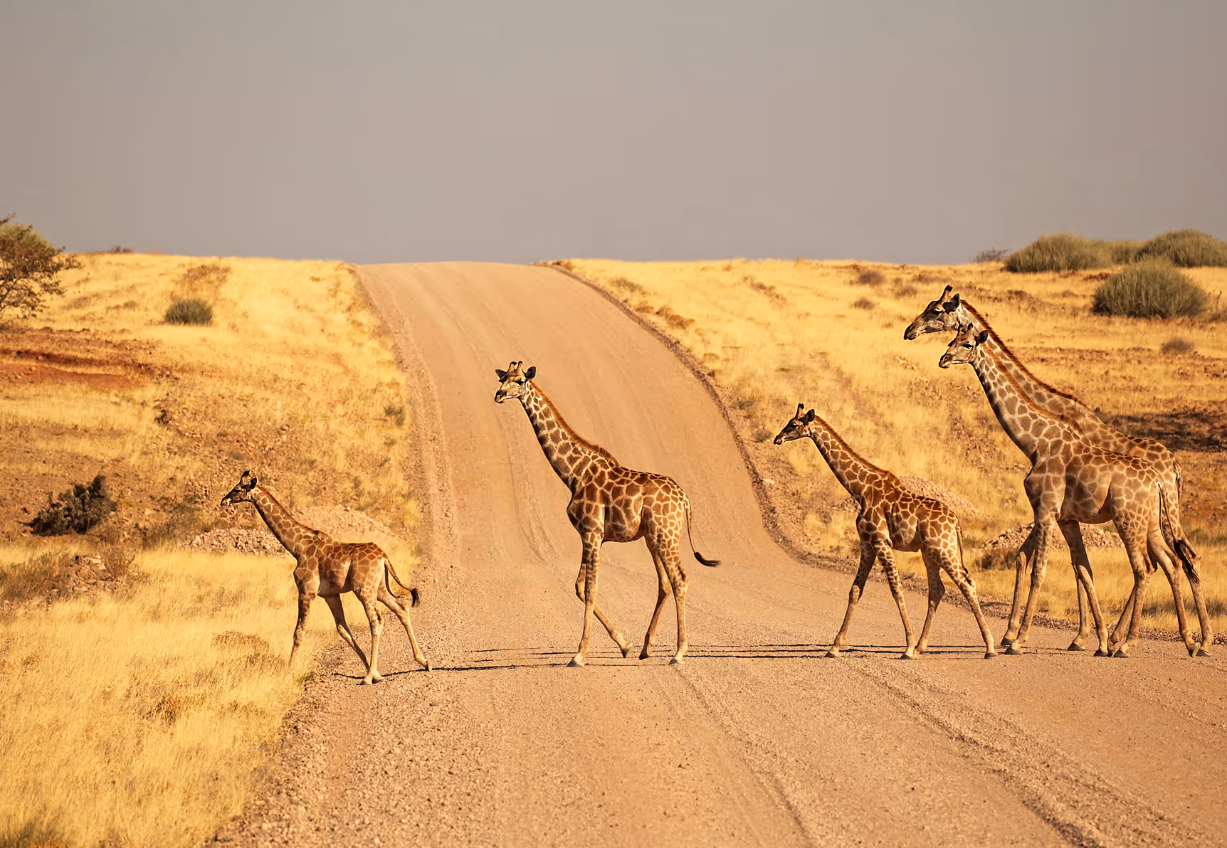 Self-drive Tours Namibia inline image 5bf2b36658916