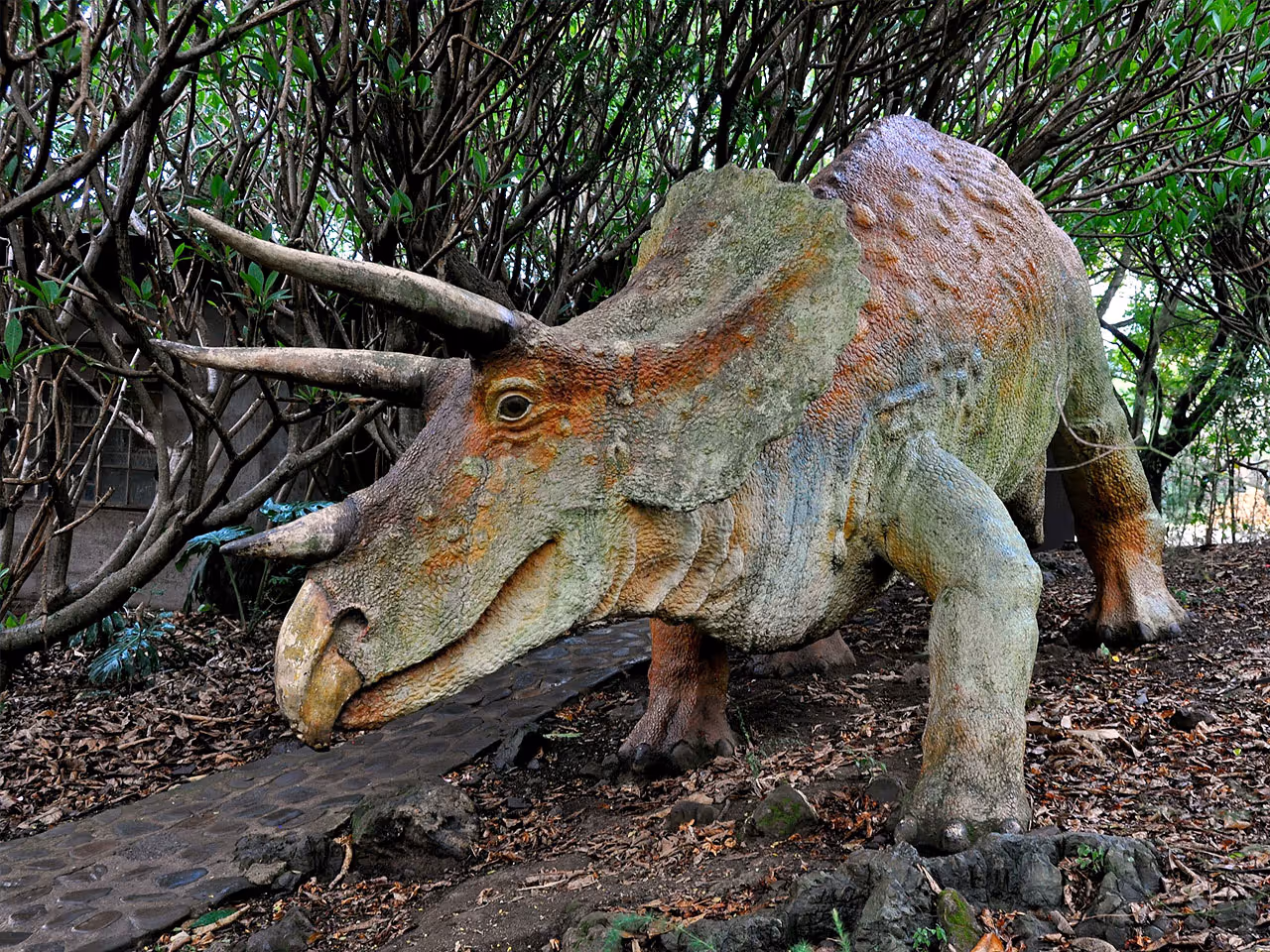 Mpumalanga inline image 5e43cf4ab3d7c