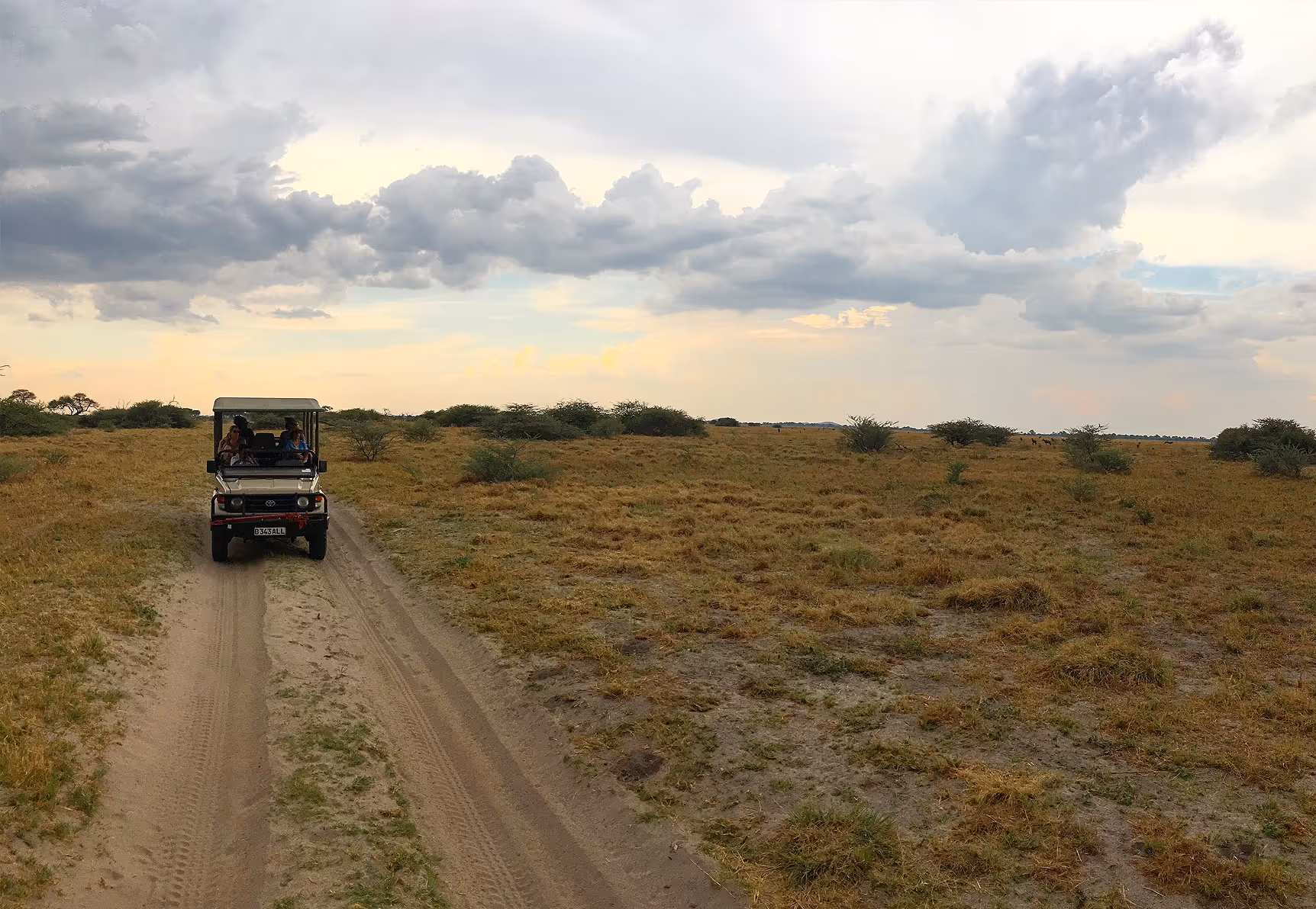 Is it possible to self-drive from Namibia to Victoria Falls? inline image 5bf3bf11dc89d