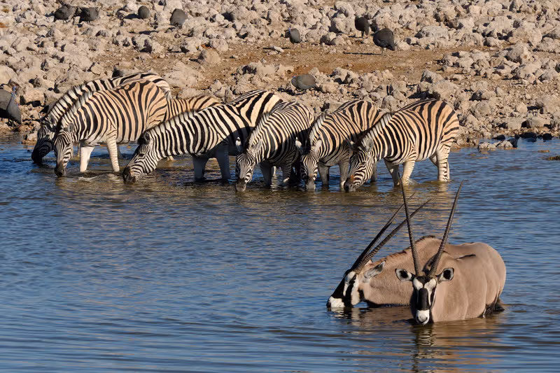 When is the Best Time to Visit to Namibia? inline image 5bfbee1c7b38c