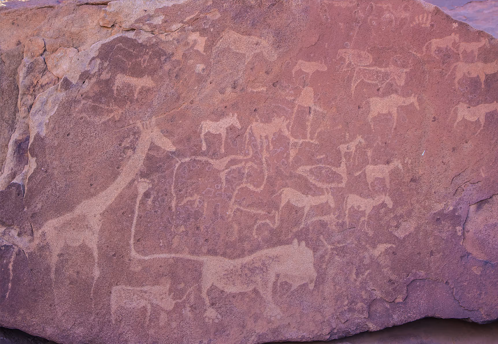 Damaraland inline image 5cb59bb27a145