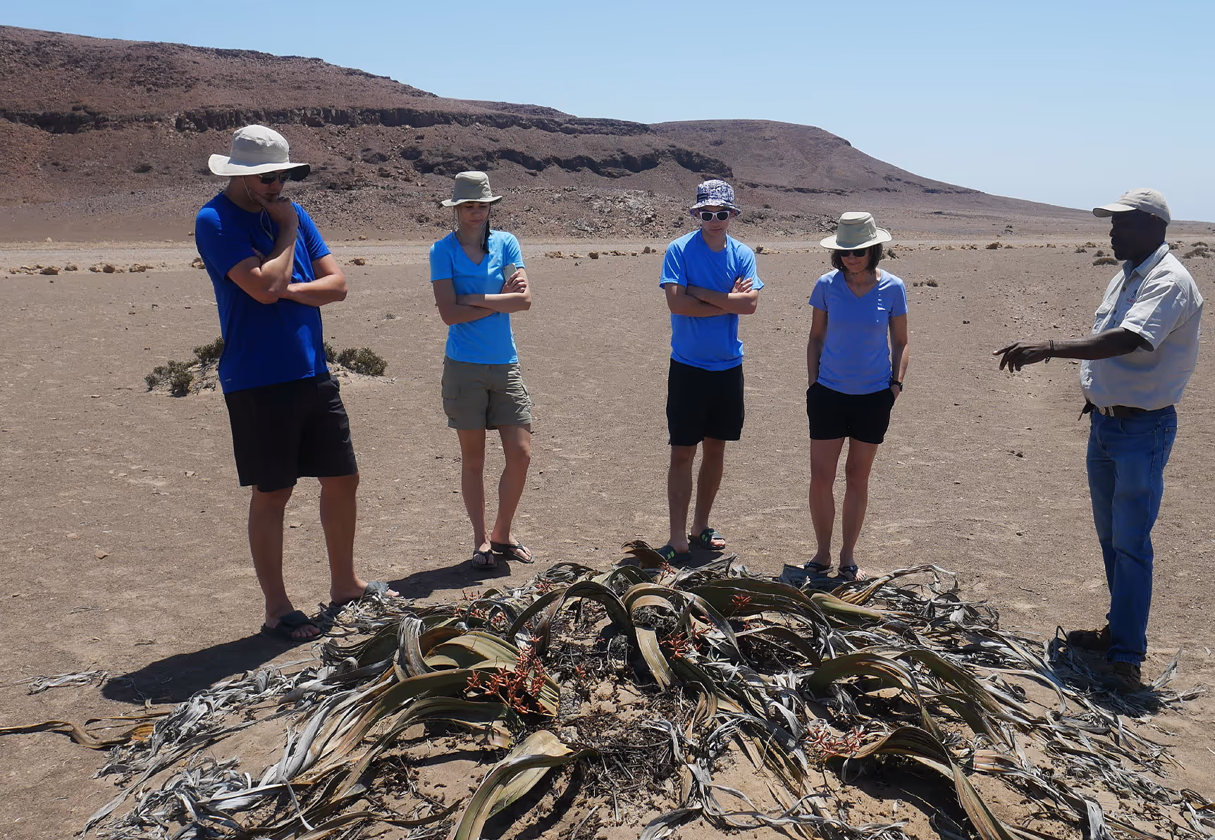 Spend a day exploring the Moodlandscape and seeing the worlds oldest plant: the Welwitschia Mirabilis