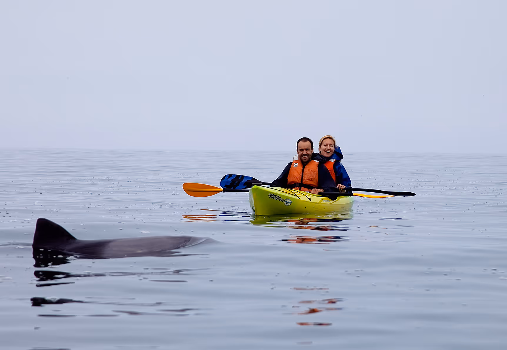 Enjoy a kayak trip in the Walvis Bay lagoon.