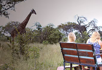 Antelope Park