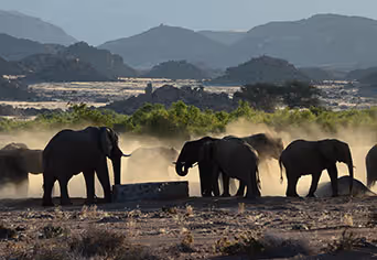 Brandberg White Lady Lodge