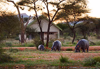 Camp Elephant Erindi Private Game Reserve