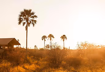Camp Kalahari