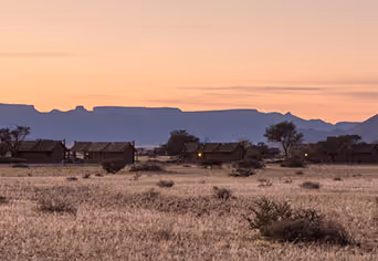 Desert Camp