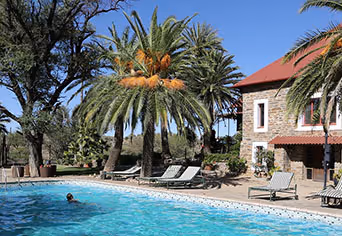 Düsternbrook Guest Farm