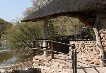 Edo's Camp