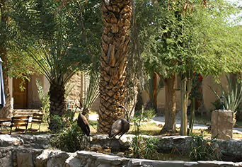 Fort Sesfontein Lodge