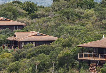 Kariega Game Reserve