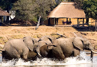 Nsefu Camp