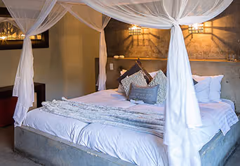 Olive Grove Guesthouse