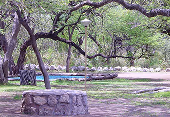 Onguma Leadwood Campsite