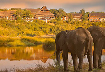 Victoria Falls Safari Lodge