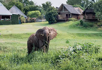 Hippo Hollow Country Estate
