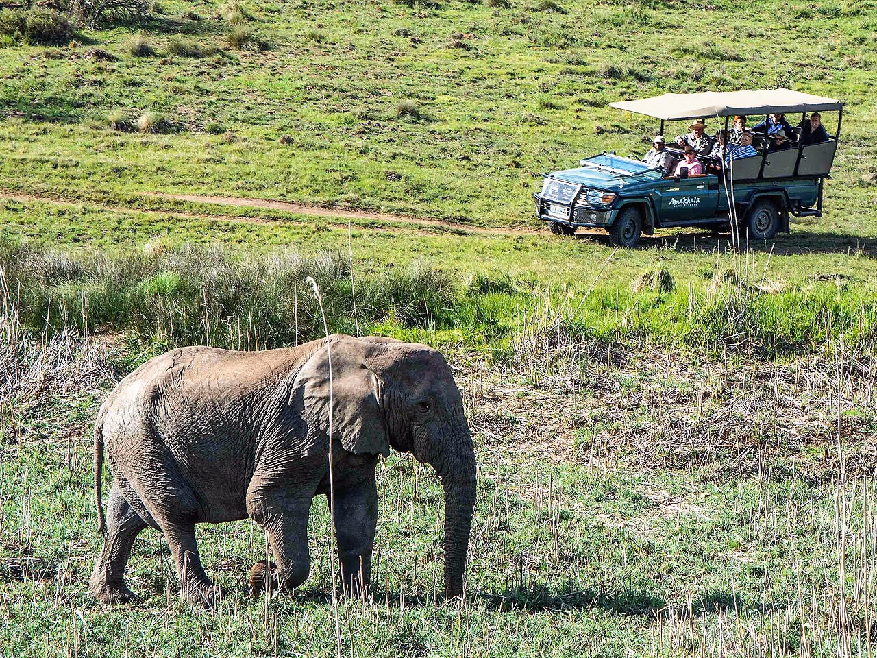 Amakhala Game Reserve