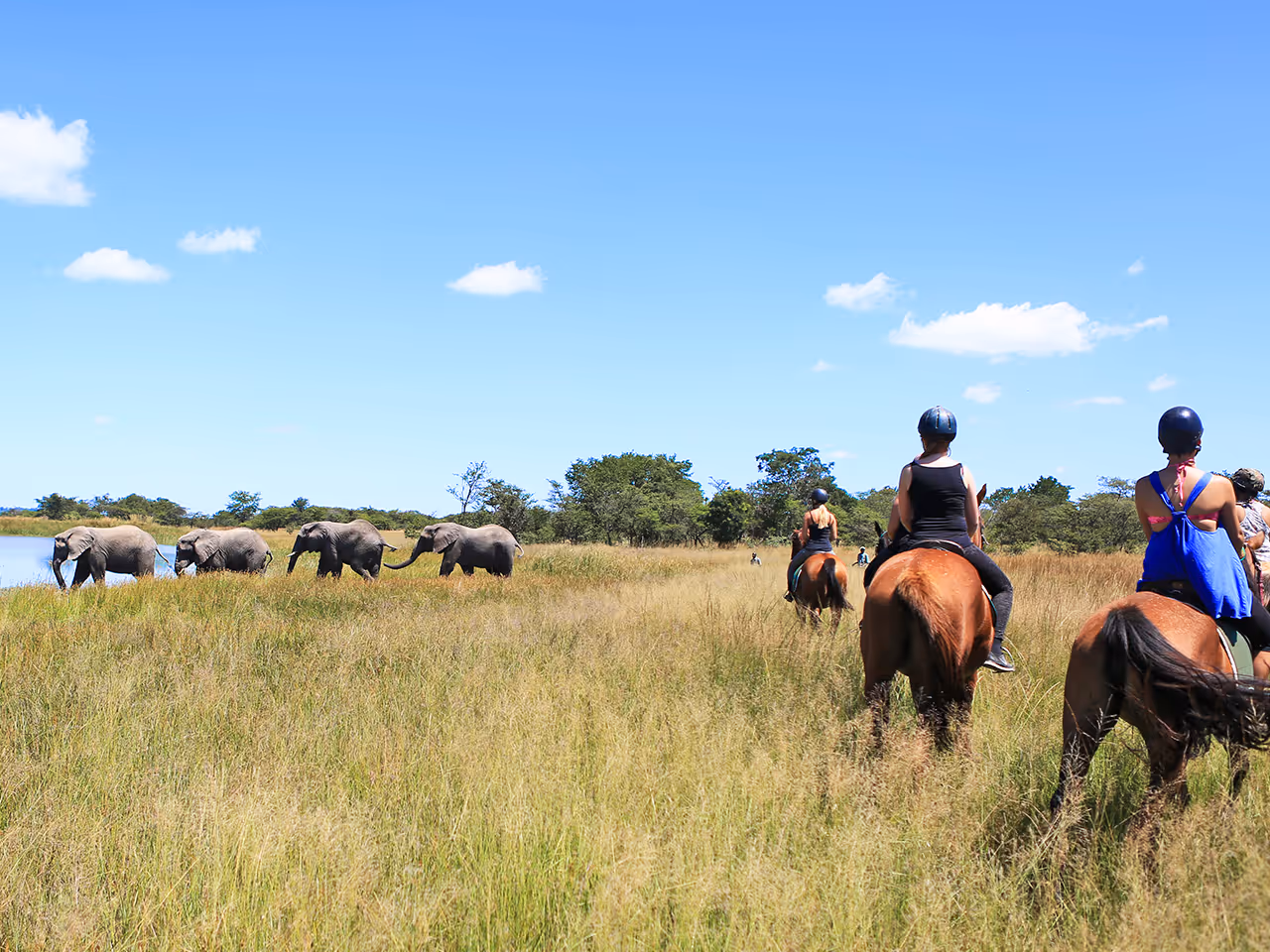 Antelope Park