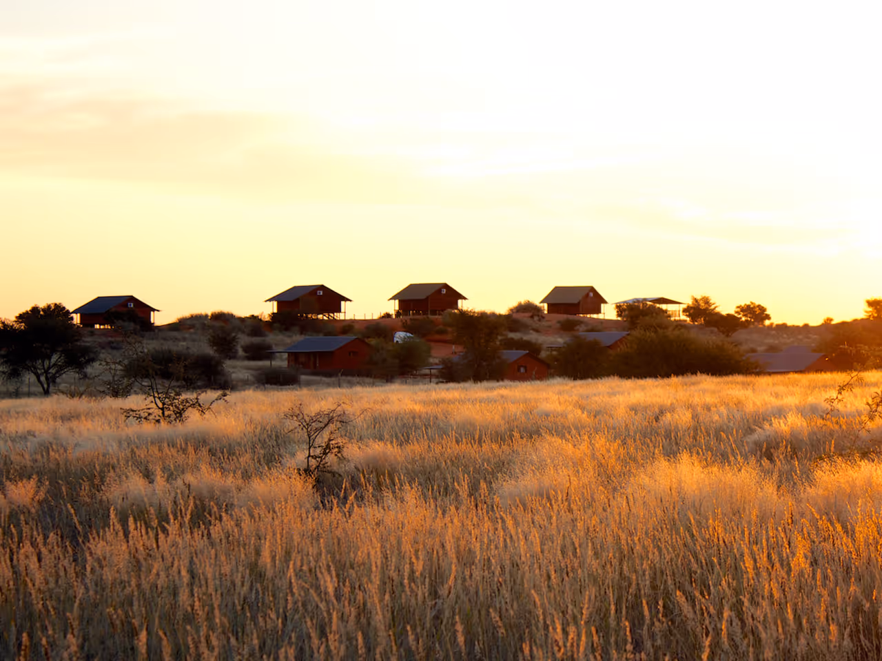 Bagatelle Kalahari Game Ranch