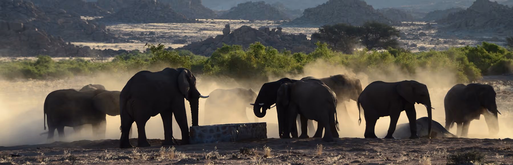 Brandberg White Lady Lodge