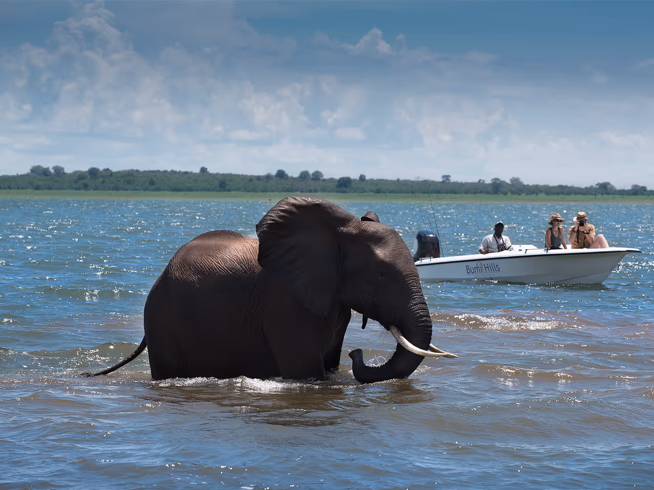 Bumi Hills Safari Lodge