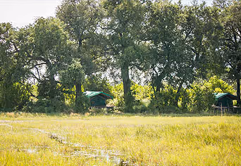 Bushman Plains Camp