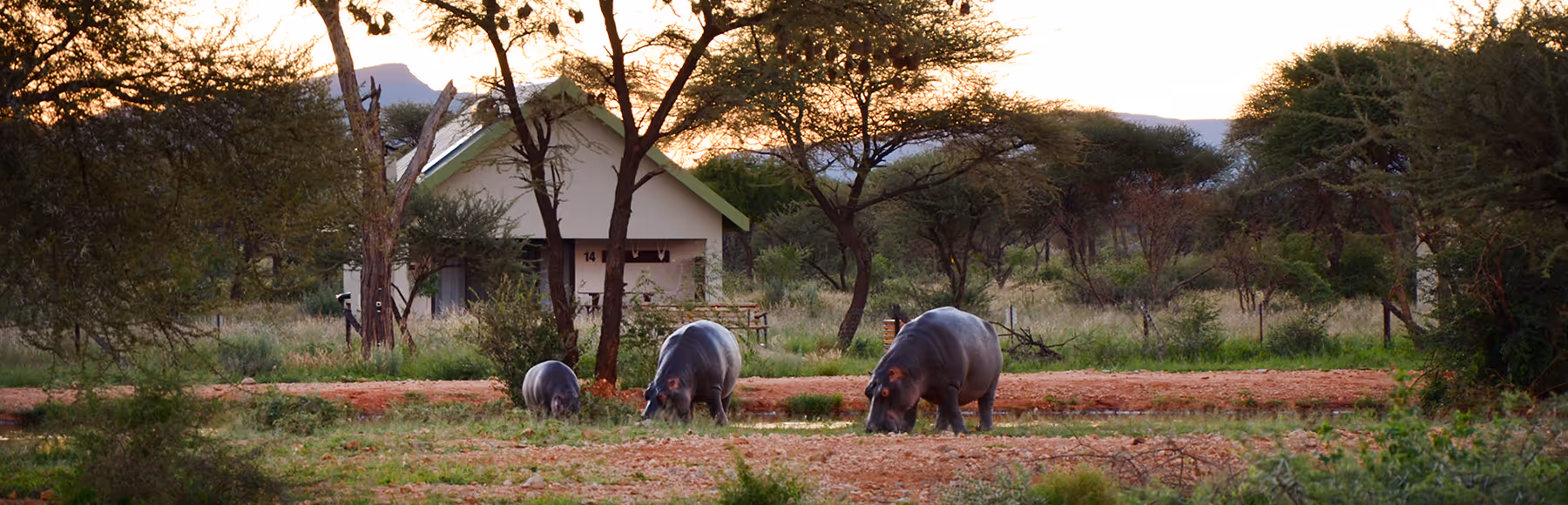 Camp Elephant Erindi Private Game Reserve