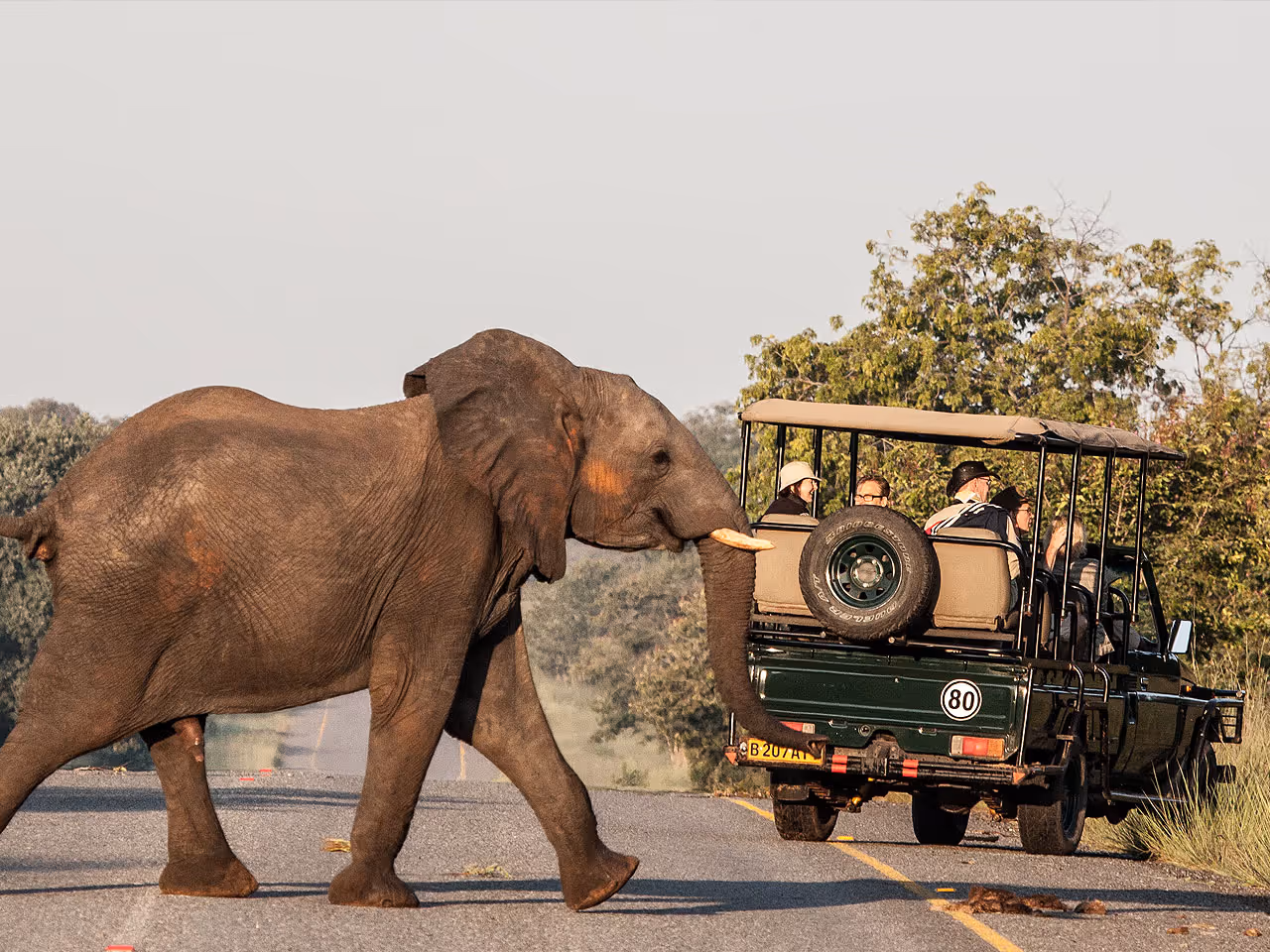 Chobe Safari Lodge Campsite