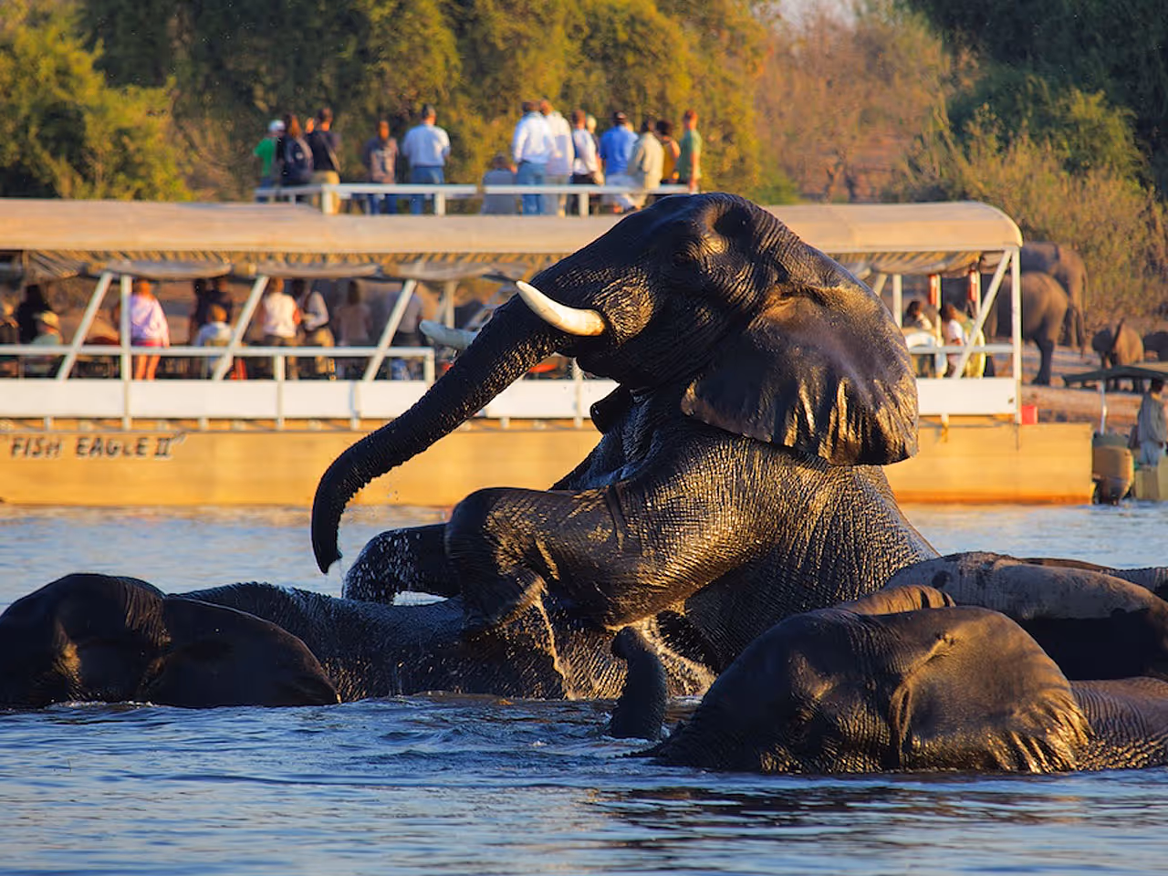 Chobe Safari Lodge Campsite