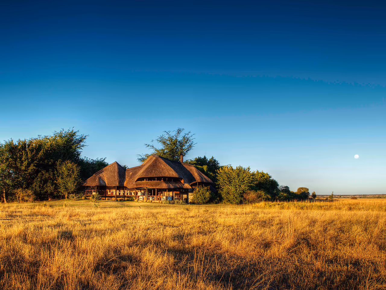 Chobe Savanna Lodge