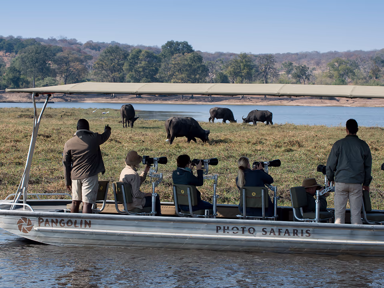 Chobe Under Canvas