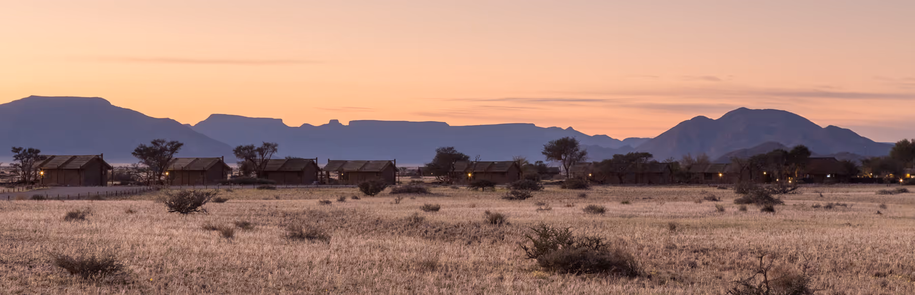 Desert Camp