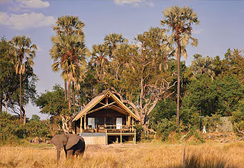 Eagle Island Lodge