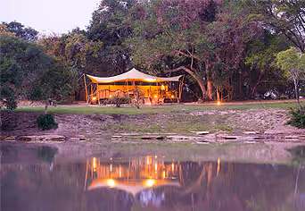 Fig Tree Bush Camp